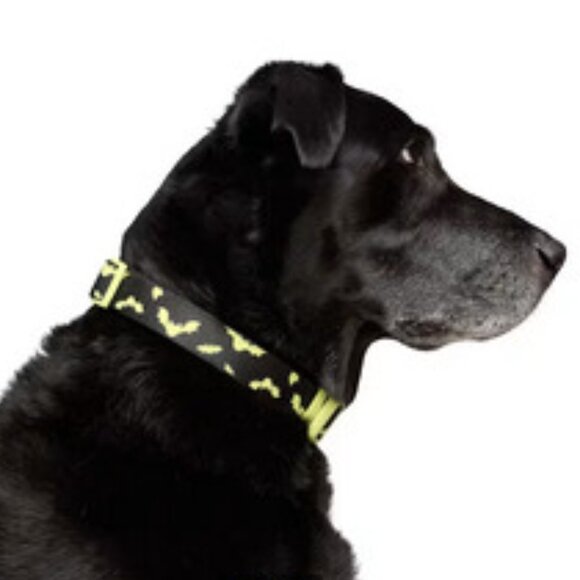 NWT ~ Bootique Glow Bat Dog Collar (Size:  Extra Small/Small ) - Picture 4 of 7